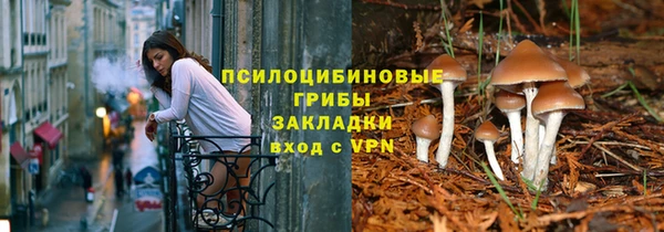 шишки Богданович