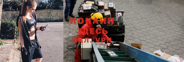 мяу мяу мука Богородицк